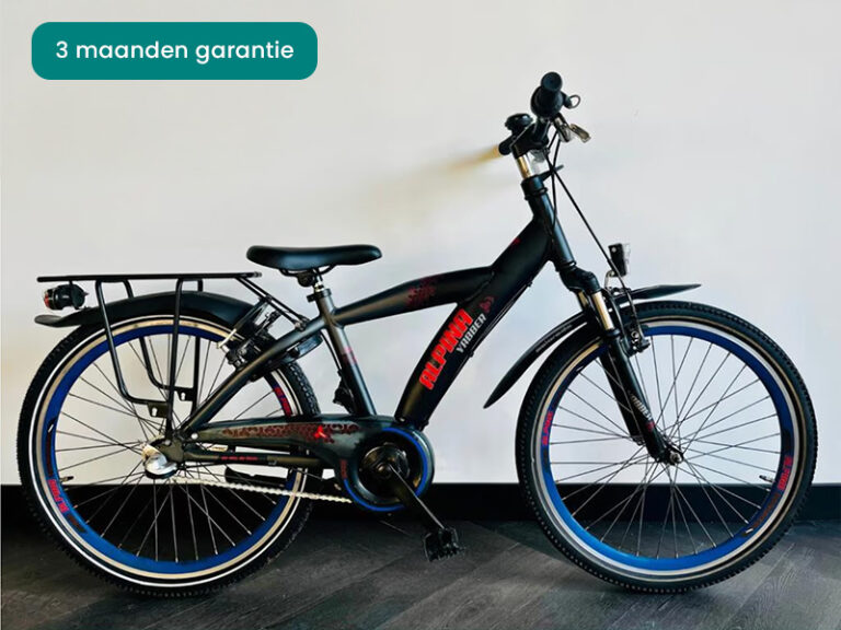 Alpina Yabber 24 inch 38 cm frame